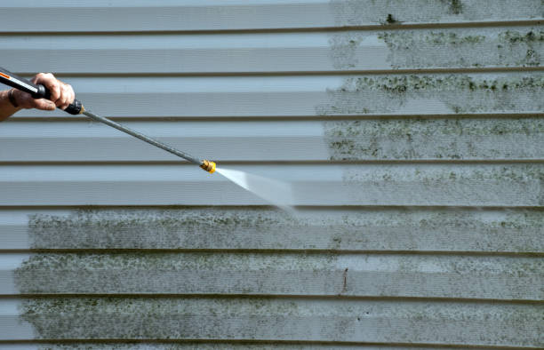 Best Roof Power Washing Services  in Almont, MI