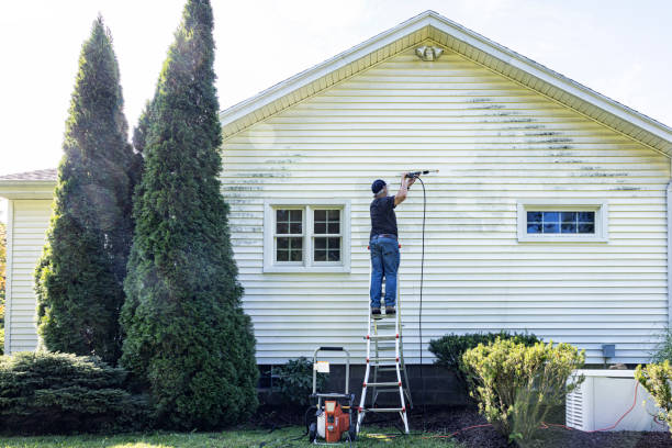 Fence Pressure Washing in Almont, MI