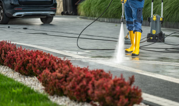 Almont, MI Pressure Washing Company