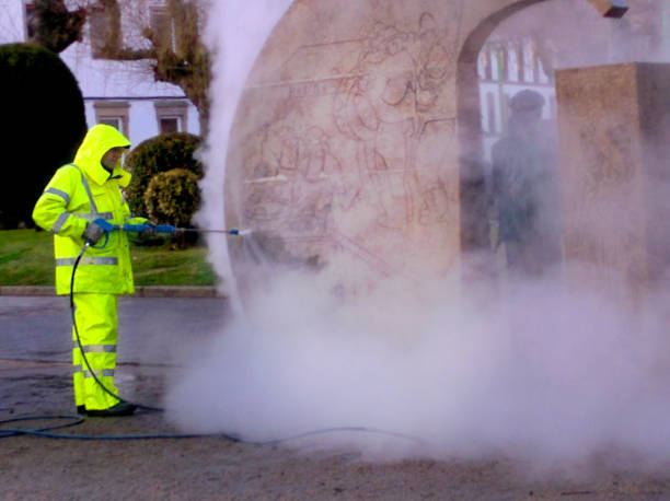 Best Roof Power Washing Services  in Almont, MI