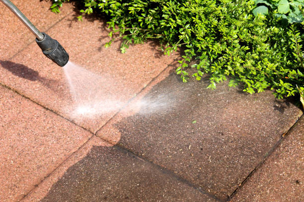 Why Choose Our Certified Pressure Washing Experts for Your Project Needs in Almont, MI?
